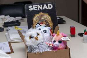 Hallan marihuana de alta potencia en cajas de encomiendas que llegaron de EE.UU. - Policiales - ABC Color