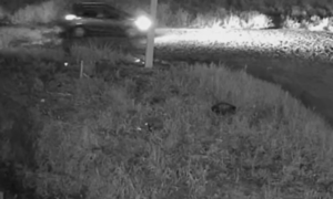 Violento asalto en CDE deja dos muertos y un herido - OviedoPress