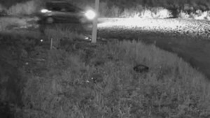 Asalto terminó a los tiros y dejó dos muertos en Ciudad del Este