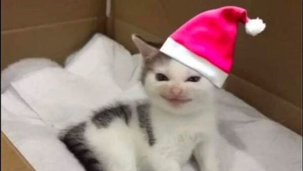 Las señales de que el “modo Navidad” ya está activado