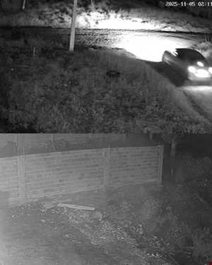 Presunto asalto en criptominería de CDE deja dos fallecidos - Portal Digital Cáritas Universidad Católica