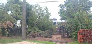 Abundante lluvia, fuerte viento y granizos causan severos daños en San Pedro - Nacionales - ABC Color