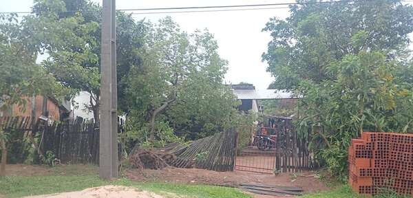 Abundante lluvia, fuerte viento y granizos causan severos daños en San Pedro - Nacionales - ABC Color