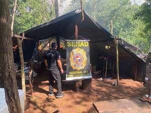 Destruyen casi 6 toneladas de marihuana y 9 “narcocampamentos” en Amambay - Policiales - ABC Color