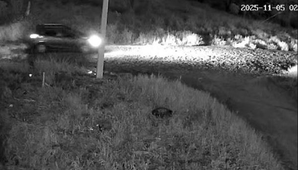 Tiroteo por robo de criptominería deja dos muertos en CDE