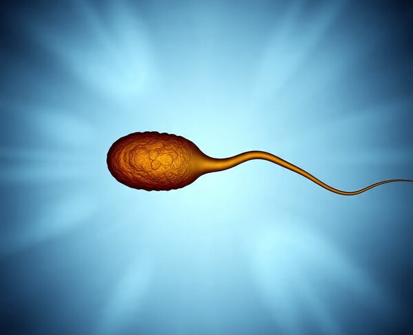 Inteligencia artificial logra primer embarazo en hombre con azoospermia