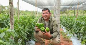 La Nación / El fruto del trabajo campesino que alimenta al Paraguay: la historia de Milciades Noguera