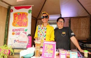 Nuevo modelo de apoyo a las MiPymes es ágil y sin costo