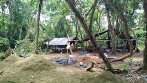 Agentes antidrogas destruyen 7 toneladas de marihuana en campamento narco de PJC