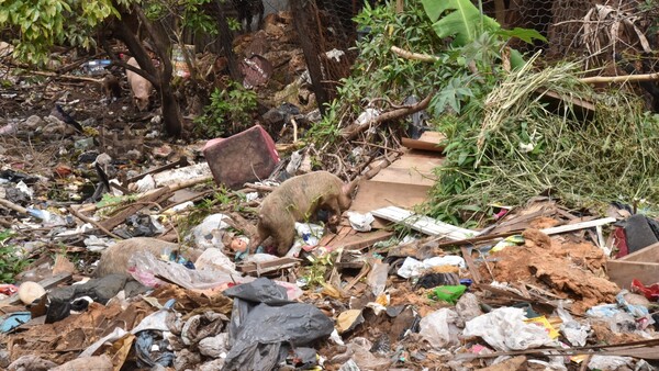 Vecinos del Bañado Norte exigen limpieza de canal usado como vertedero