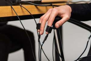 Del arroz seco al polígrafo: un viaje por la historia de la búsqueda de la verdad - Ciencia - ABC Color