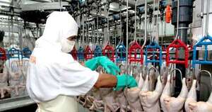 La Nación / Envíos de productos avícolas sumaron USD 8,9 millones hasta octubre