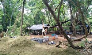 Agentes antidrogas destruyen 7 toneladas de marihuana en campamento narco de PJC – Prensa 5