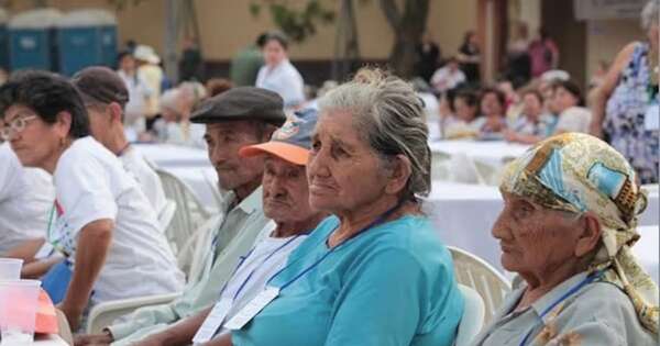 La Nación / Adultos mayores podrían pagar solo la mitad en tarifas de Ande y Essap