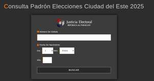 La Nación / TSJE desmiente fallas en consultas de padrón de Ciudad del Este