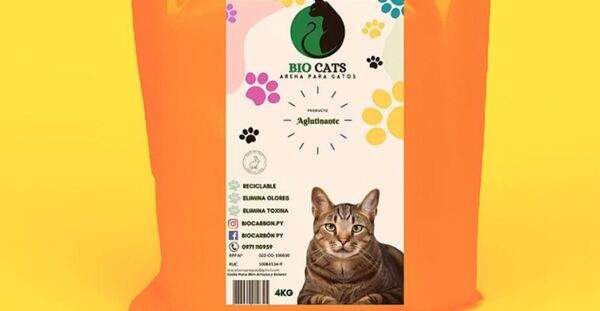 Emprendimiento "Todo Gato" transforma el cuidado felino en negocio nacional