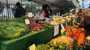 Ferias de la Agricultura Familiar acercan productos del campo a la mesa sin intermediarios