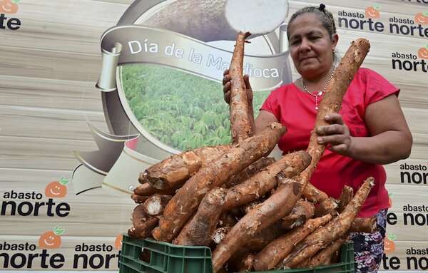El sabor y la tradición se unen para celebrar el Día Nacional de la Mandioca - ABC Rural - ABC Color