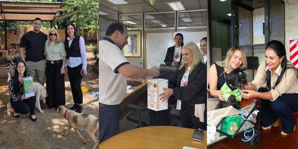 CAMPAÑA “CORAZÓN GENEROSO, PATITAS FELICES”  BENEFICIA A CUATRO REFUGIOS 