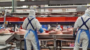 Naranjal atrae US$ 300 millones de inversión y se prepara para convertirse en polo porcino y tecnológico