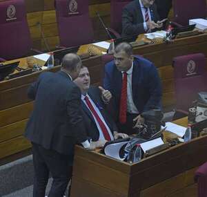 Flexibilizan ley que exige a estudiantes extranjeros comprender español o guaraní  - Política - ABC Color