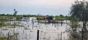 Villa Florida: sector olero en crisis a consecuencia de la crecida del río Tebicuary - Nacionales - ABC Color