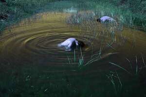 El cuerpo como territorio: llega el IX Festival EOS Mes de la Fotografía en Paraguay - Cultura - ABC Color