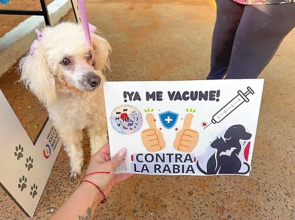 Recuerdan que la vacuna antirrábica obligatoria en perros y gatos