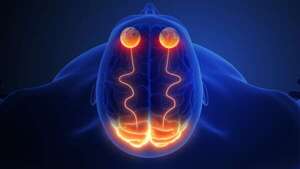Prueban en dos personas ciegas un sistema de visión artificial que dialoga con el cerebro - Ciencia - ABC Color