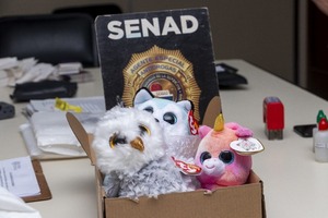 SENAD intercepta envíos de marihuana "premium" desde Estados Unidos