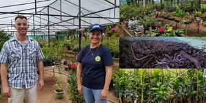 VIVERO AMAMBAY: DONDE NACE LA VIDA Y EL SUELO SE REGENERA