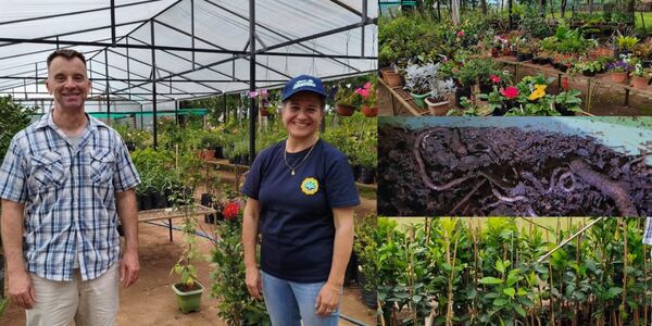 VIVERO AMAMBAY: DONDE NACE LA VIDA Y EL SUELO SE REGENERA