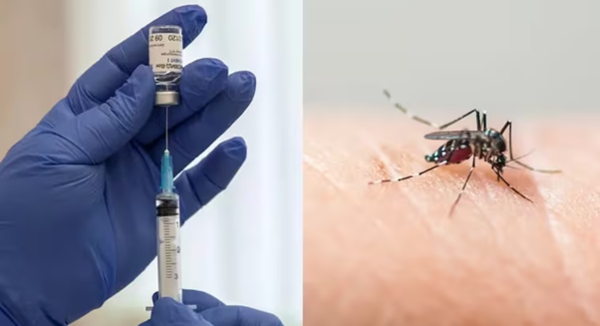 Lo que hay que saber de la vacunación infantil contra el dengue