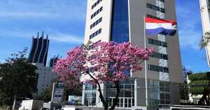 La Nación / FMI destaca “sólida” evolución económica de Paraguay y espera aprobar desembolso de USD 178 millones