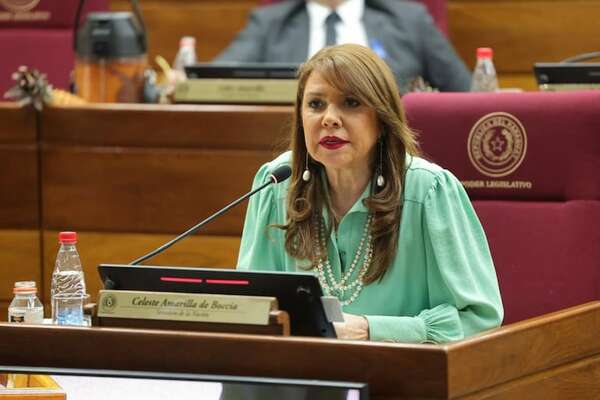 Celeste Amarilla advierte sobre “el poder de los indiferentes” en las elecciones de Ciudad del Este  - Política - ABC Color