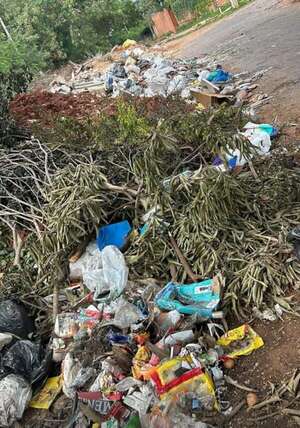 Acumulación de basura en Asunción  - Crónicas Ciudadanas - ABC Color