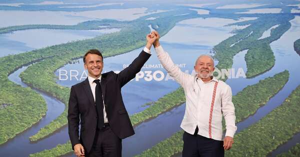 La Nación / Brasil lanza un fondo para proteger los bosques tropicales en el mundo