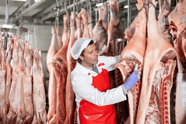 Paraguay busca abrir el mercado europeo para su carne porcina y aviar - Economía - ABC Color
