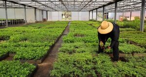 Tekotopa produjo más de 110.000 plantines de diferentes especies