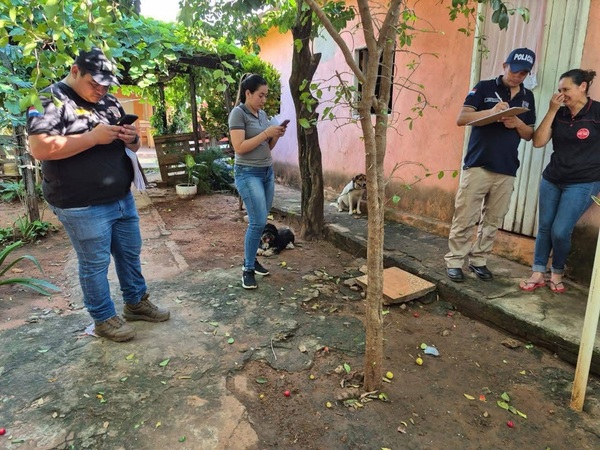 Fiscalía interviene ante la muerte de varios perros en Yby Ya’u - Concepción al Día