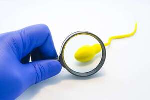 ¿Es reversible la vasectomía? Desmitificando el camino hacia la paternidad - Sexualidad - ABC Color