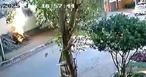 Diario HOY | Hombre les prendió fuego a tres gatos en la calle: “Se bajó con mucha rabia”