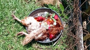 Abuela denunció a su sobrino por hacerle macumba frente a su casa