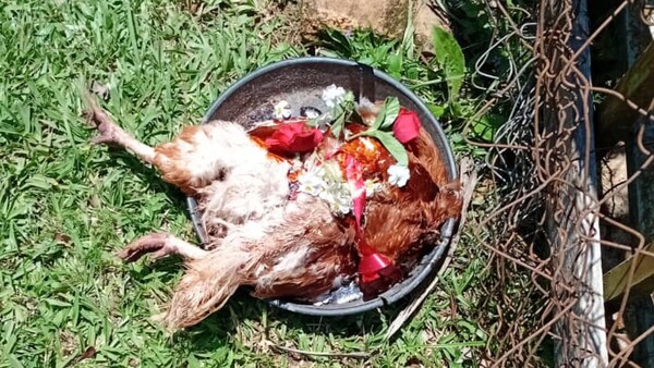 Abuela denunció a su sobrino por hacerle macumba frente a su casa