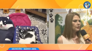 25 michis fueron rescatados del Buen Pastor