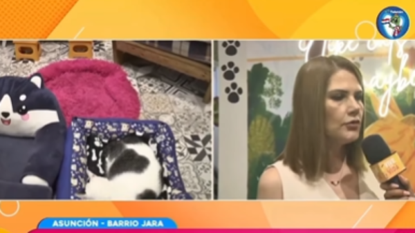 25 michis fueron rescatados del Buen Pastor