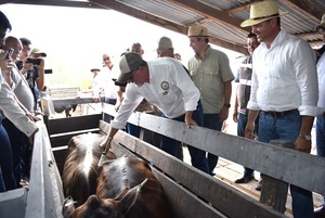 ARP plantea modelo público-privado para levantar vacunación contra la aftosa