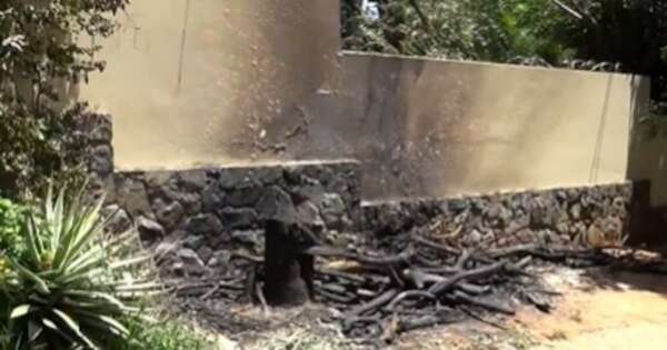 La Nación / Un hombre arrojó y les prendió fuego a tres gatitos en plena vía pública