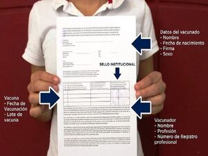 Salud Pública advierte tener cuidado con la doble dosis de vacuna antiamarílica - La Tribuna