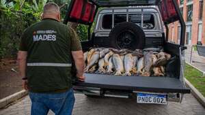Mades decomisa productos pesqueros durante la veda